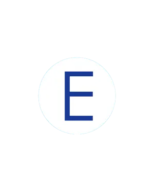 Bogg Bit - Initial "E"