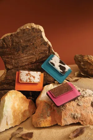 Brite Canyon Credit Card Holder Combo Pack