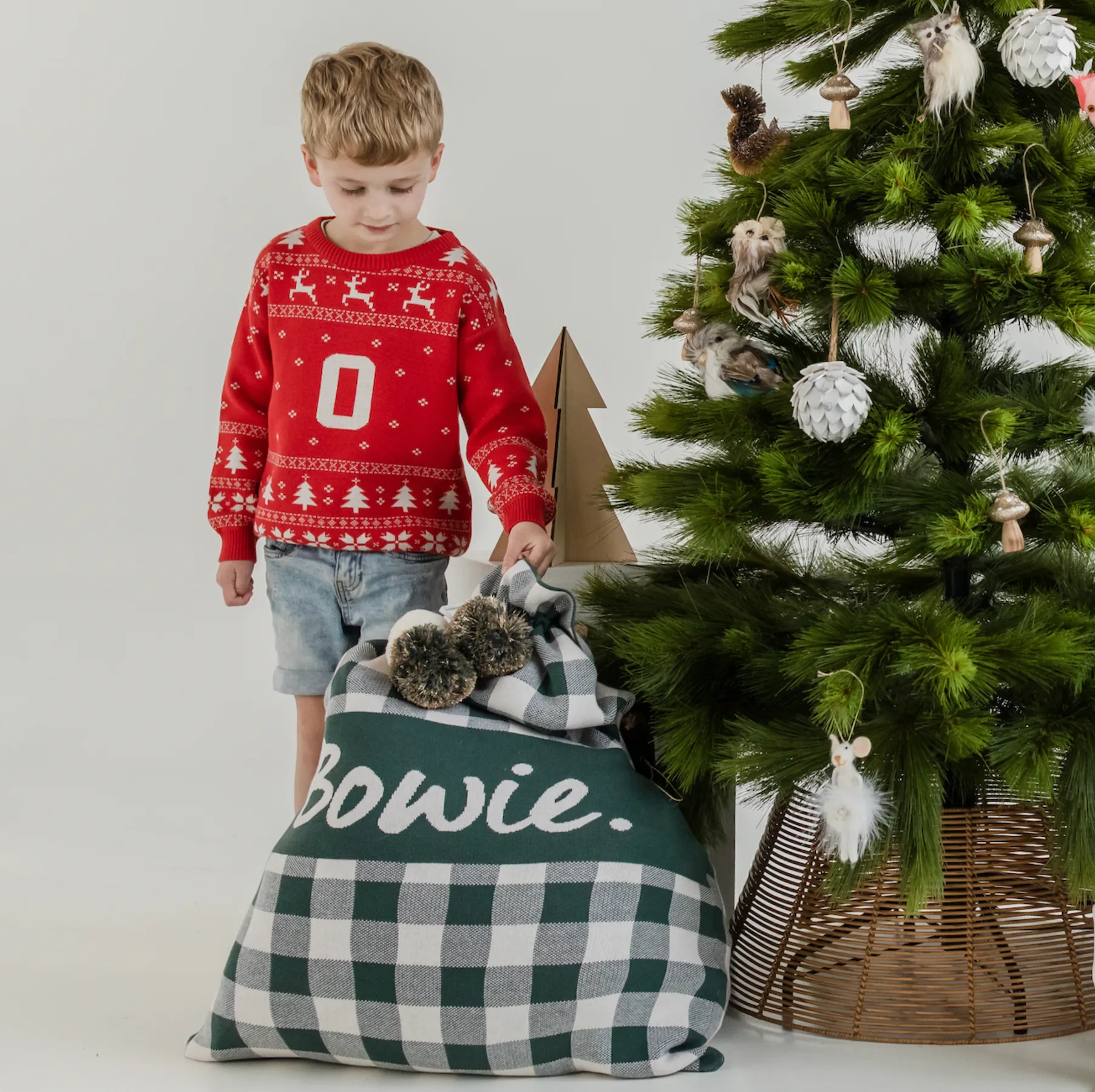 Classic Christmas Santa Sack - Dark Forest Gingham