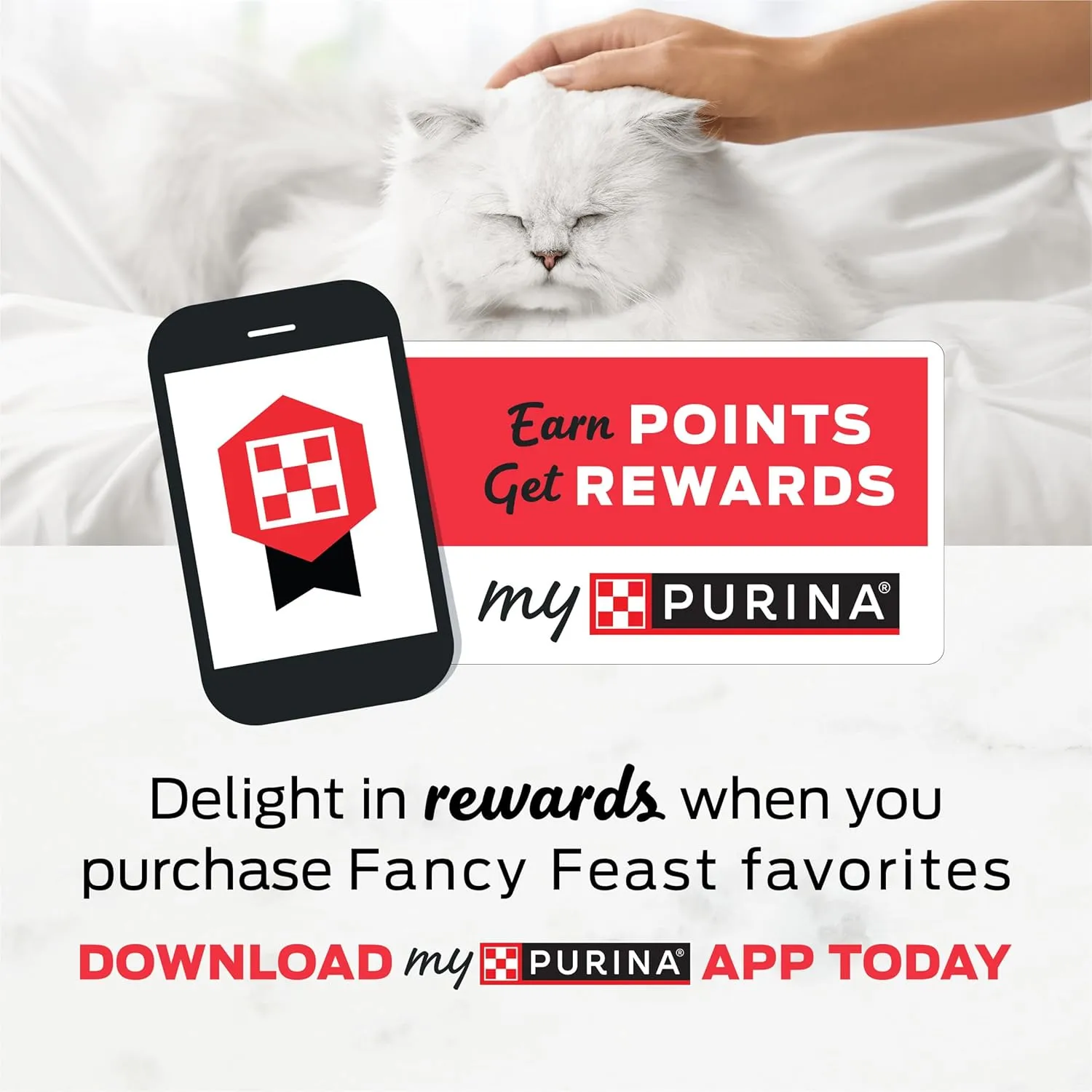 Purina Fancy Feast Dry Cat Food With Ocean Fish and Salmon - (Pack of 4) 16 oz. Bags