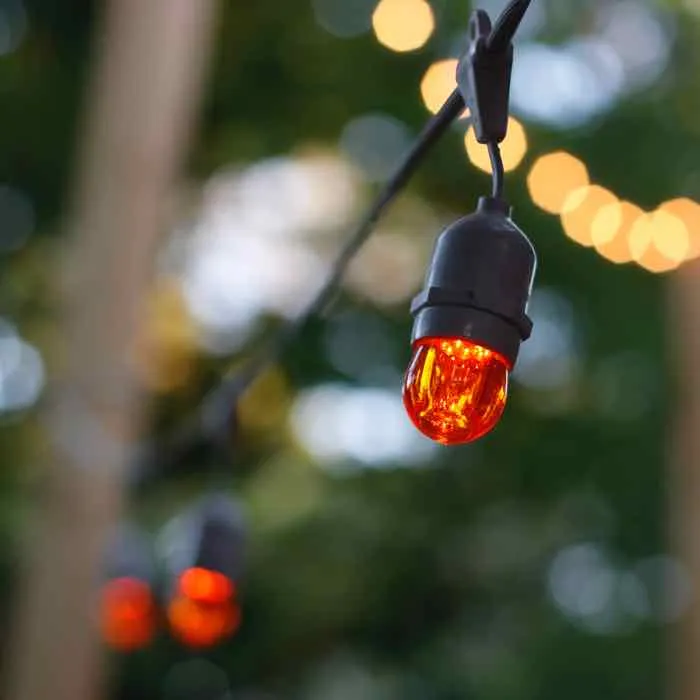 S11 Orange LED Bulbs E26 Bases (25 Pack)