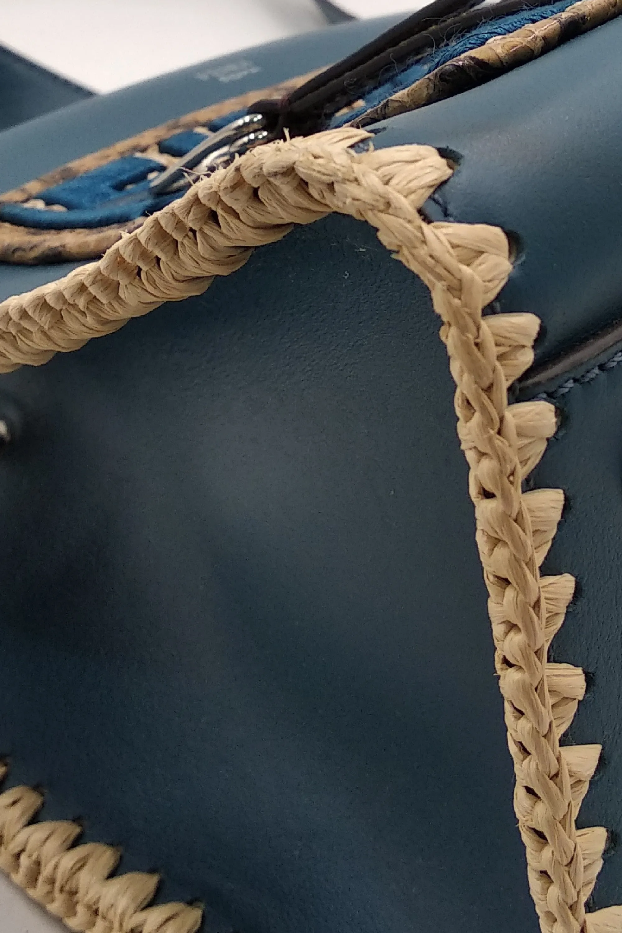 Small Snakeskin-Trimmed Runaway Blue