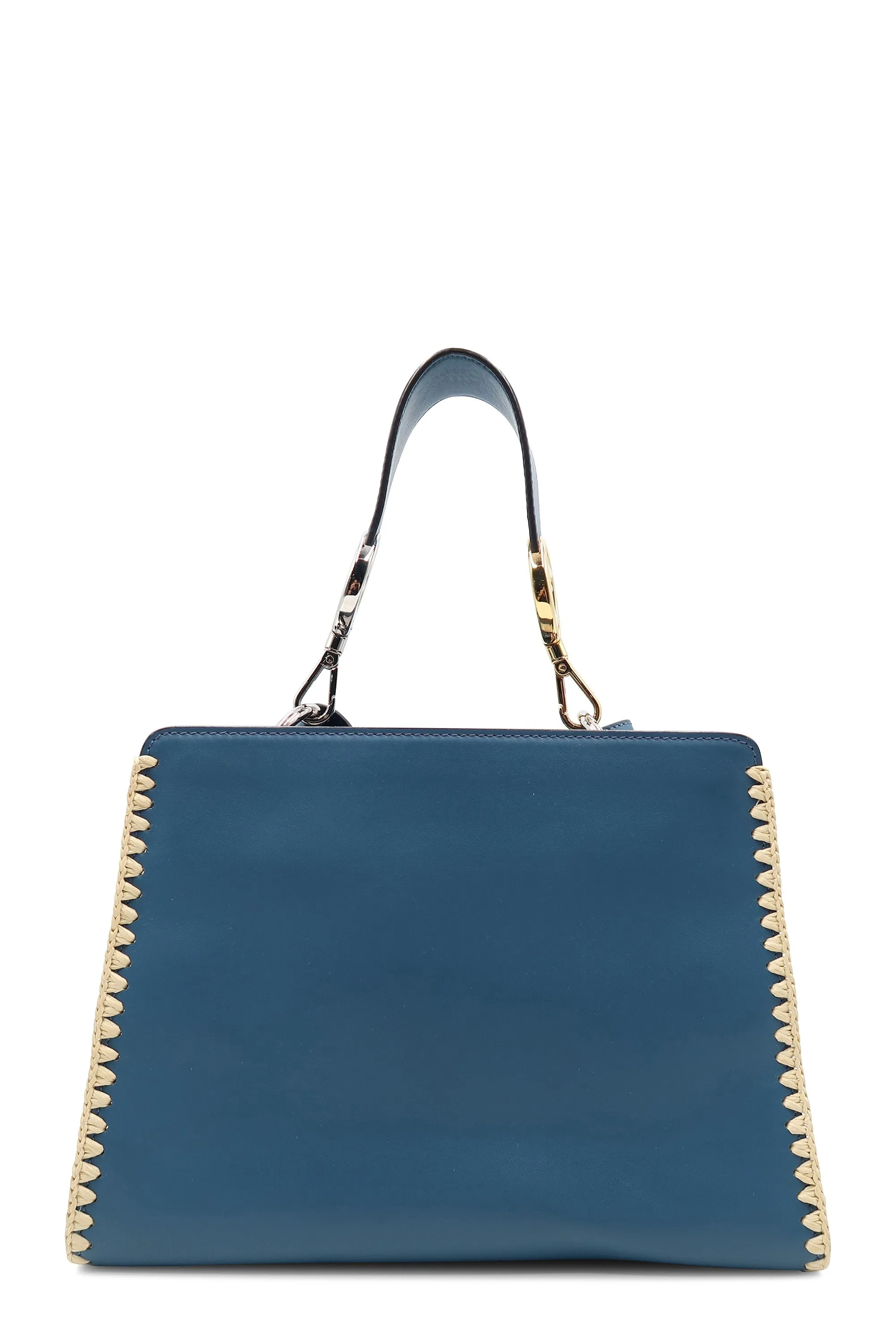 Small Snakeskin-Trimmed Runaway Blue