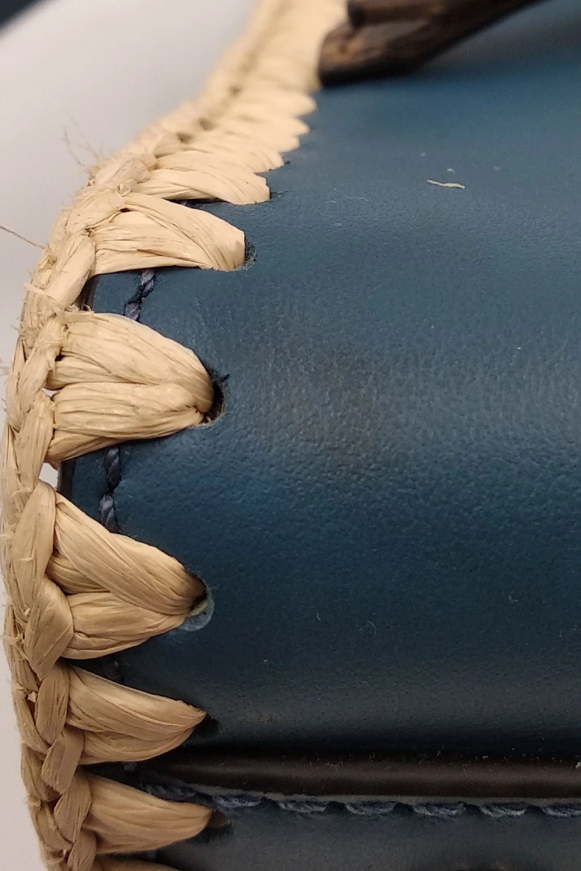 Small Snakeskin-Trimmed Runaway Blue