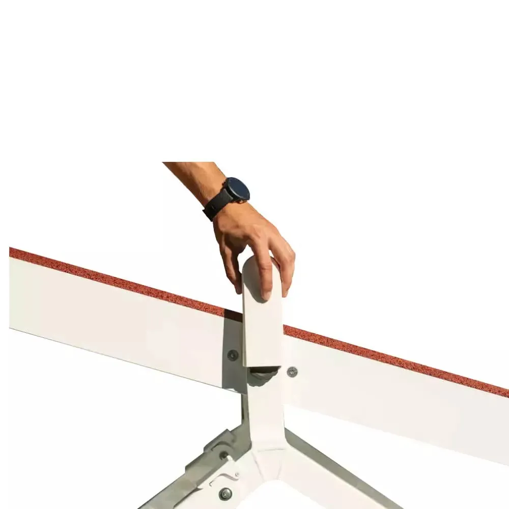 SOFT Seesaw v2.0